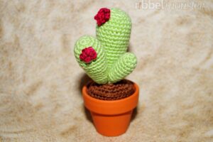 Amigurumi - Kaktus häkeln - Olig - Anleitung - Häkelanleitung